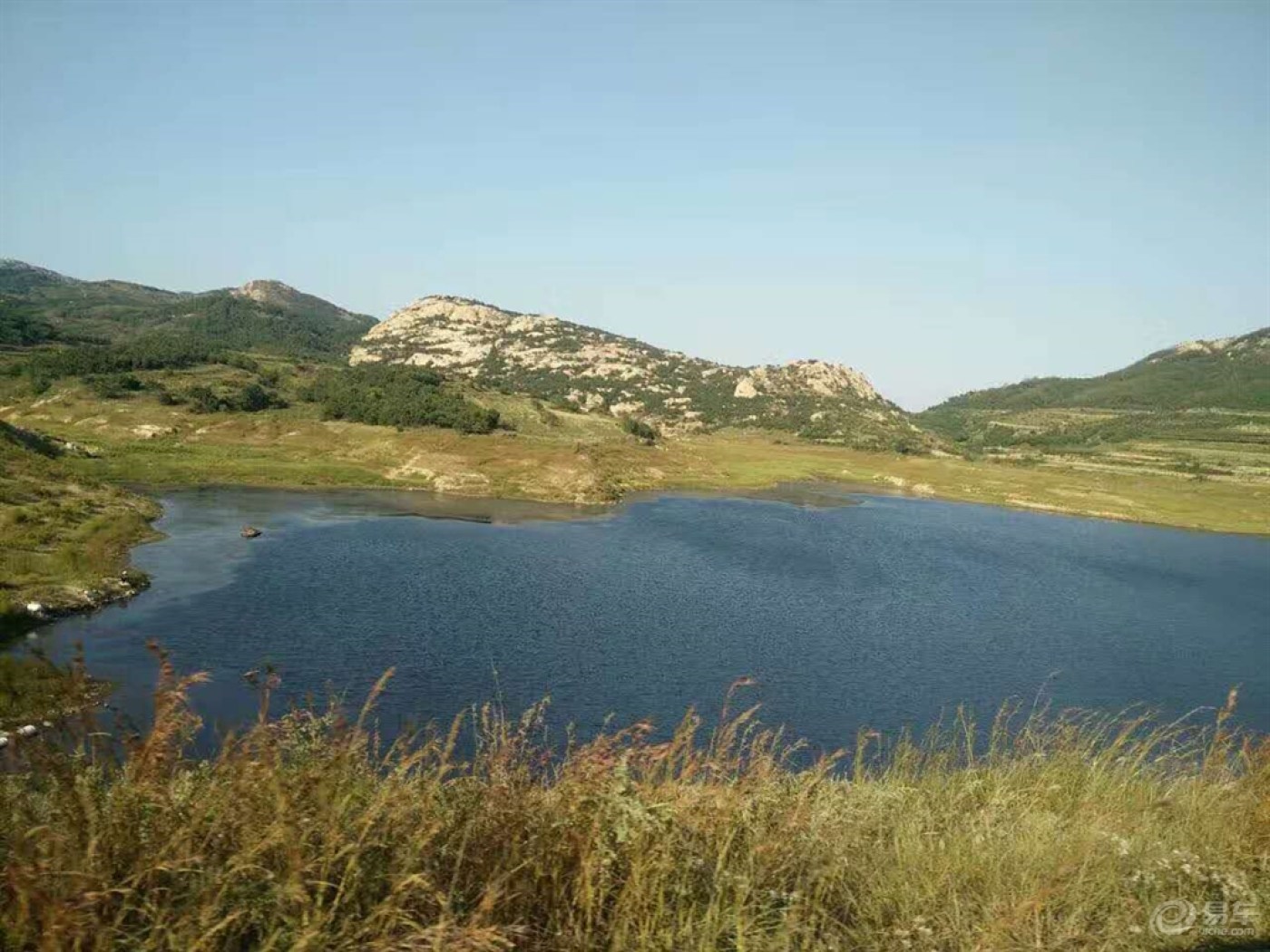 男人也是一朵花,也害怕风吹雨打-致我的爷爷