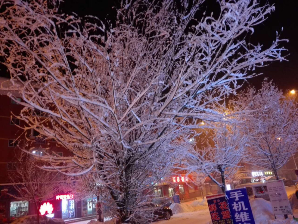 【如约而至的一场大雪!小白受了伤!求版主心疼