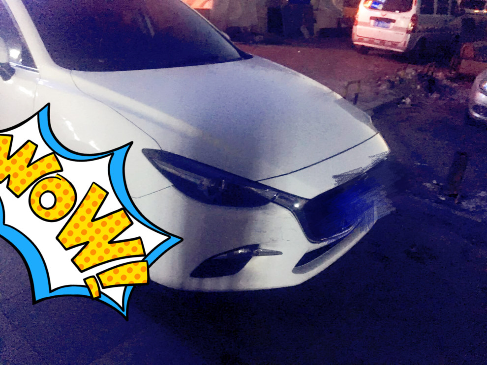 【如约而至的一场大雪!小白受了伤!求版主心疼