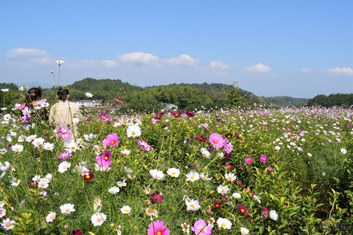想带你去看晴空万里