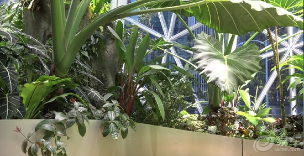 【40亿美金造3个大玻璃球 所有总部大楼都败给