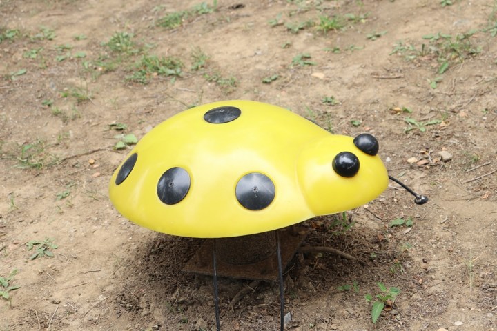 心之向往,才是人生归处