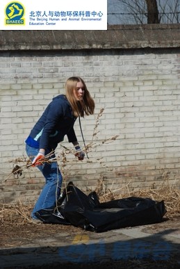 【3月7日人与动物环保科普中心义工日记2】_