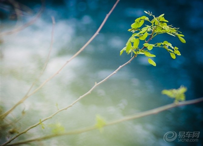 【任何生物都有自己的生命,让我们感受生命的