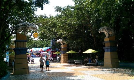 【周末去长隆走了一趟,玩的就是心跳啊】_锋范