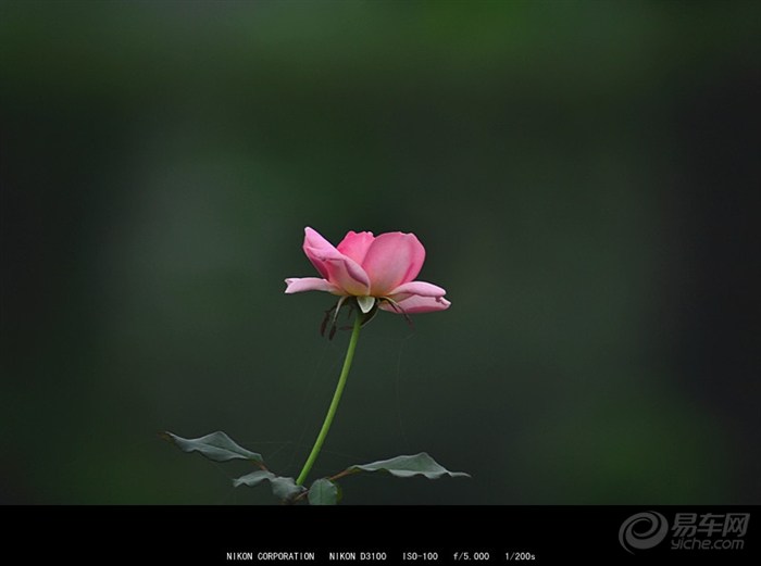 20120630_a35a711c-6789-4cae-b0f2-a4c8c381f026_990_0_max_jpg.jpg