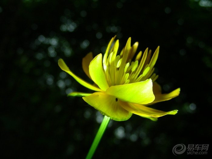 【7月20号3加1重上海坨扎营。】_冲浪手户外