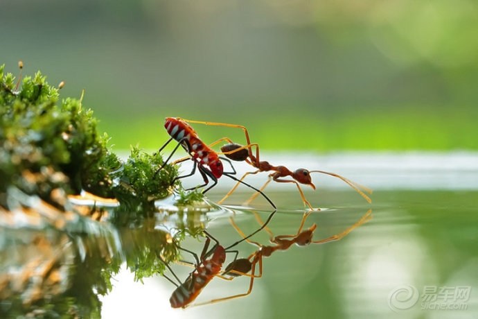 20121012_28ac046c-180e-4f74-9bbd-5d71afe57761_990_0_max_jpg.jpg