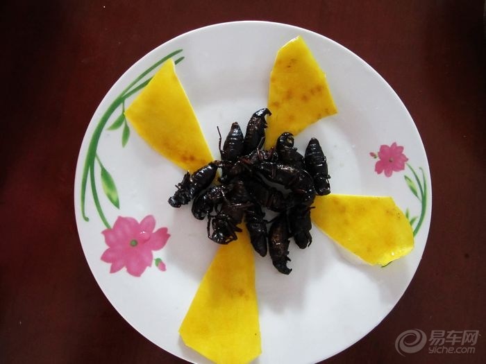 【【今天晚上吃什么】炸山水牛】_美食之旅