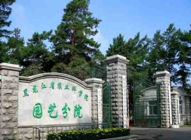 【黑龙江省农科院园艺分院周边自驾游_黑龙江