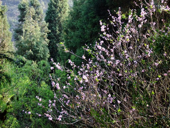 中华车友踏青游 教你如何换轮胎
