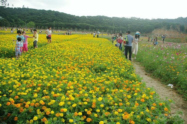【清溪大王山 花海世界 】_宝来论坛