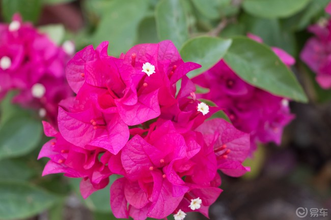 c60edafb-ffc4-4803-ab36-6e8b48bfc206_650_0_max_jpg.jpg
