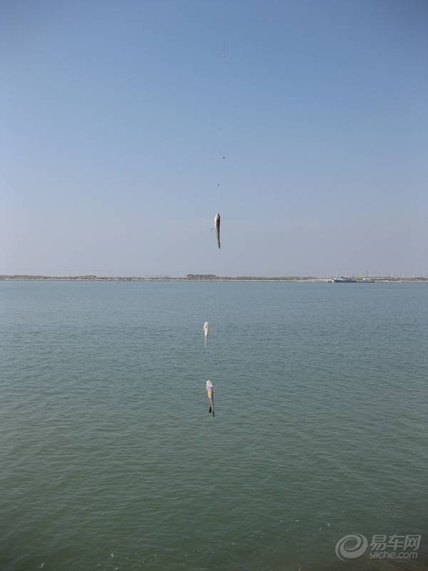 【周末出游简单作业。】_天津论坛图片集锦