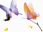 2012-03-20头像照
