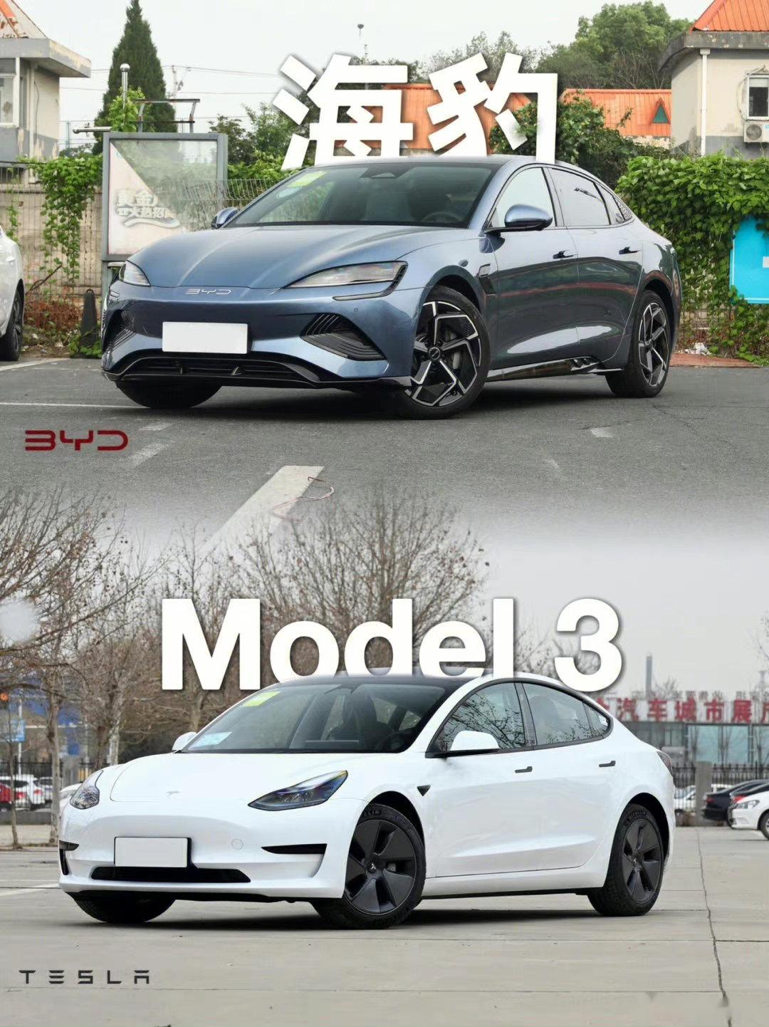 比亚迪海豹和特斯拉model3对比，你们会选谁？ Model 3社区 易车社区