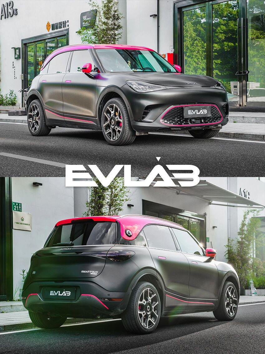 奔驰smart精灵1号|哑光车衣77甜菜根紫