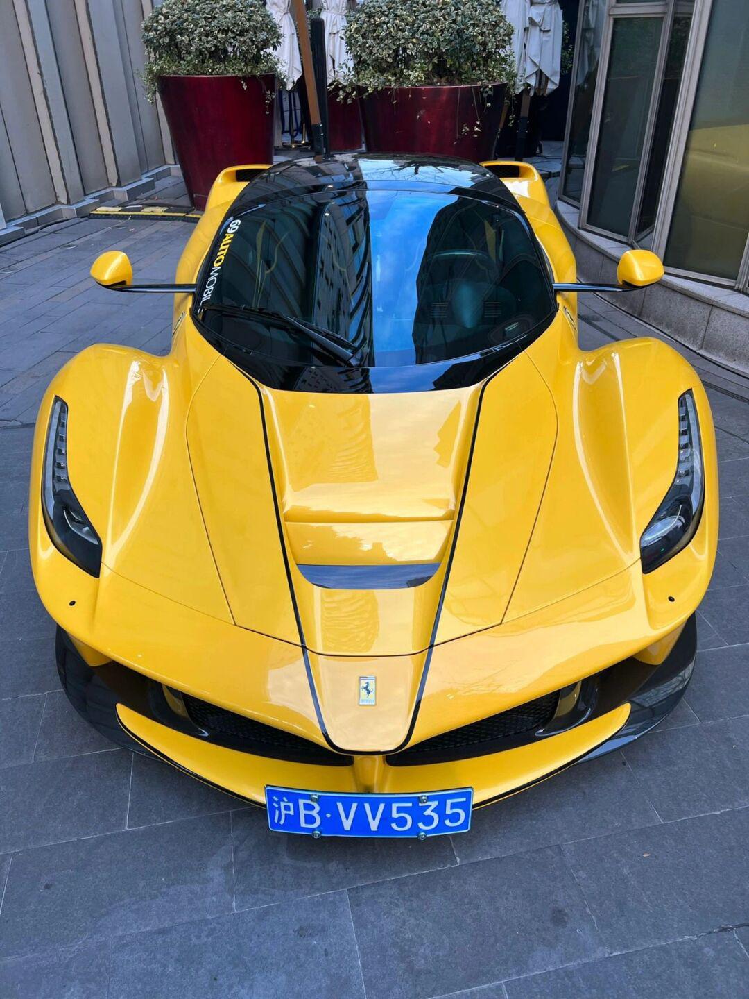 拉法十年 | 国内已见的马王们