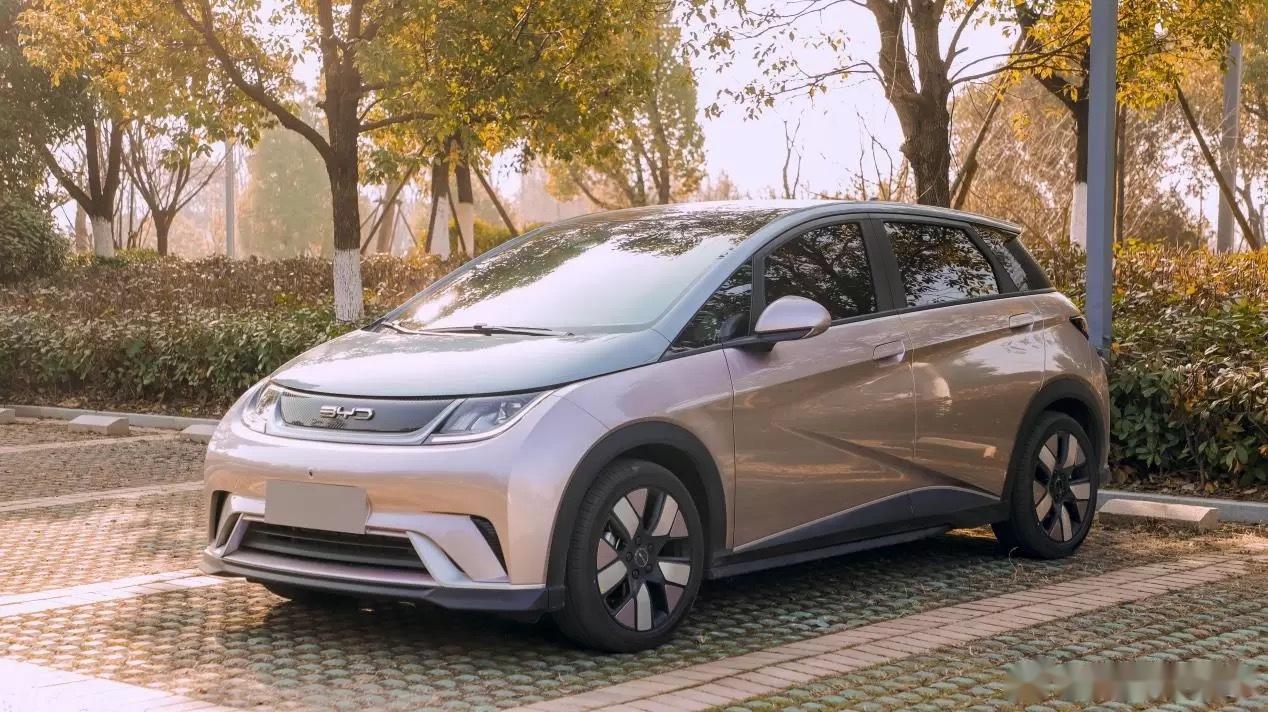 海豚是10万级的小钢炮,从设计层面看是一台符合年轻人个性诉求的车型