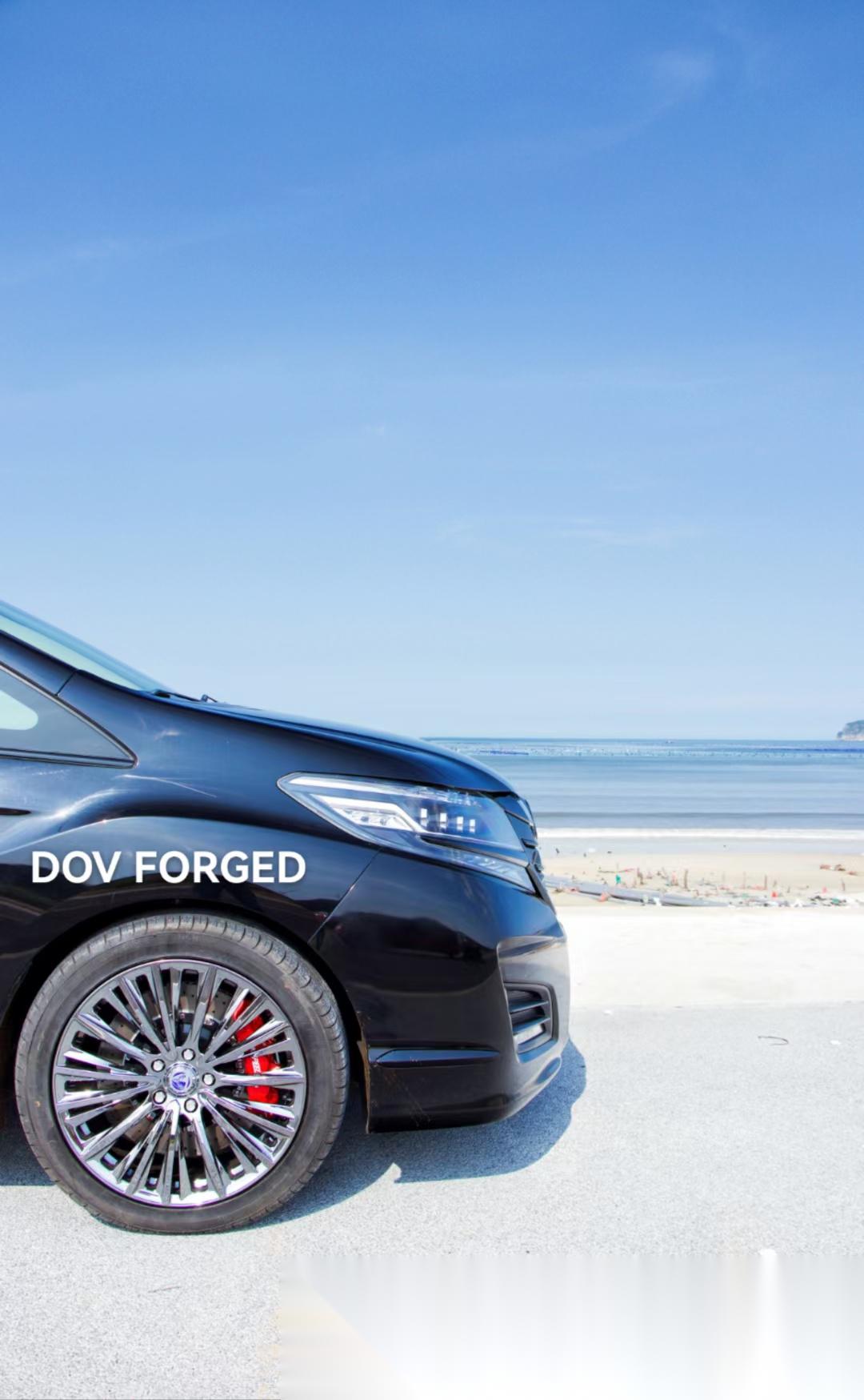 艾力绅19寸黑电镀轮毂!