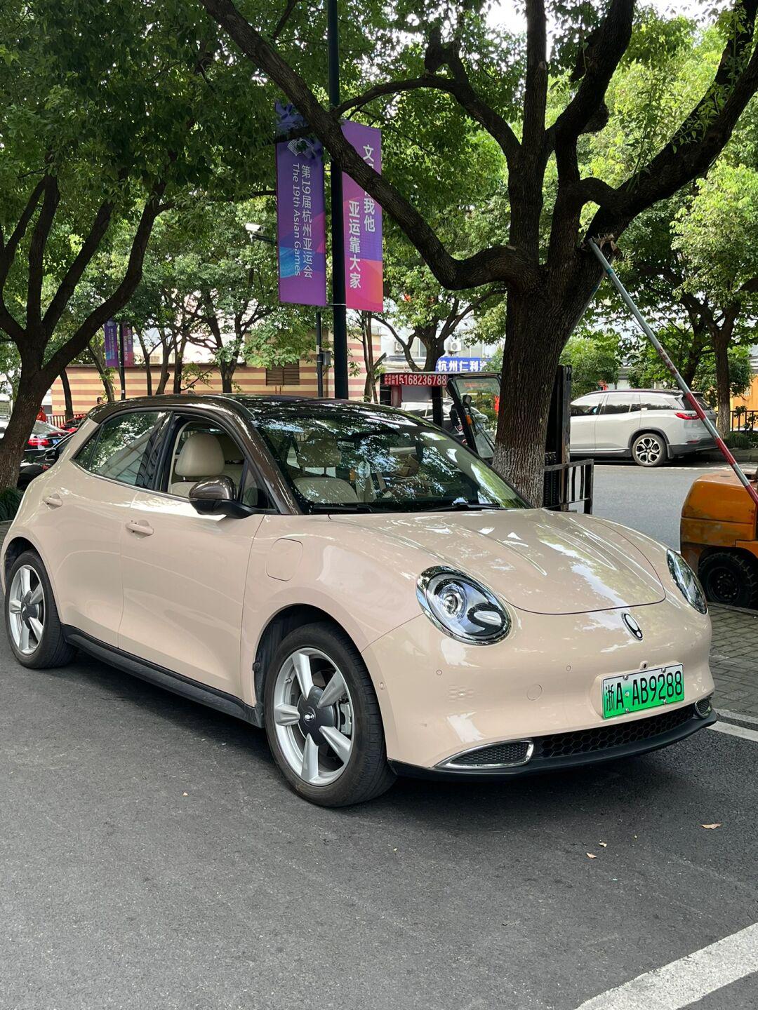 棕顶米色好猫 曾经的王者_欧拉好猫社区_易车社区