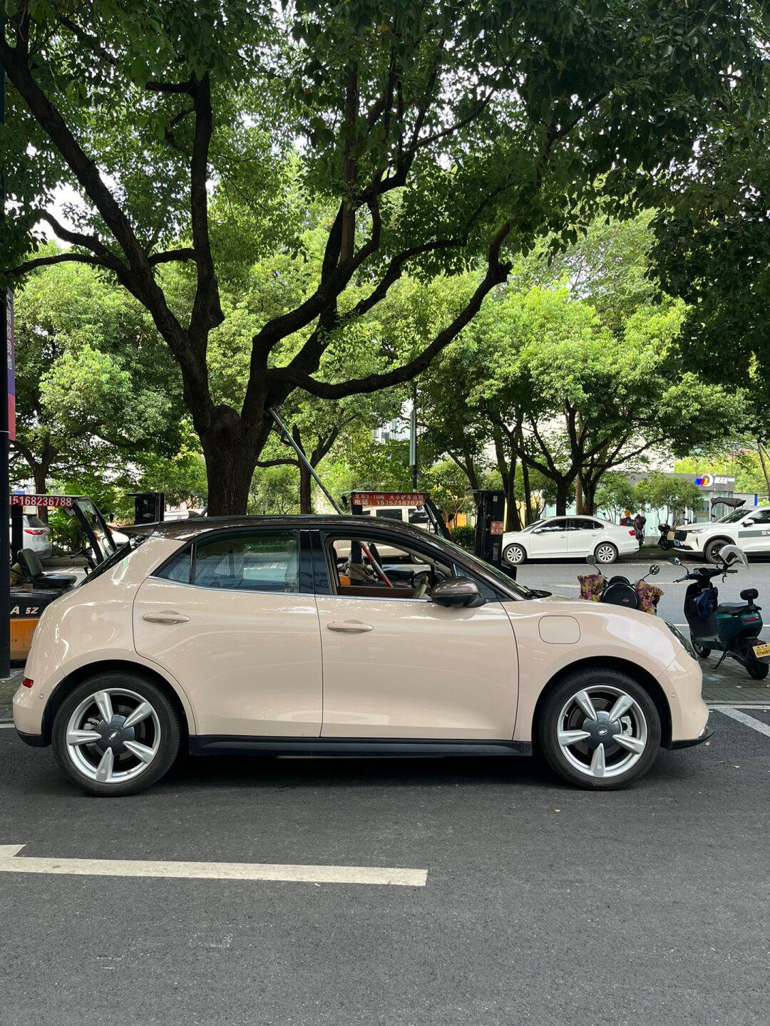 棕顶米色好猫 曾经的王者_欧拉好猫社区_易车社区