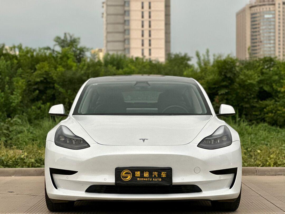 2021 款特斯拉 model3