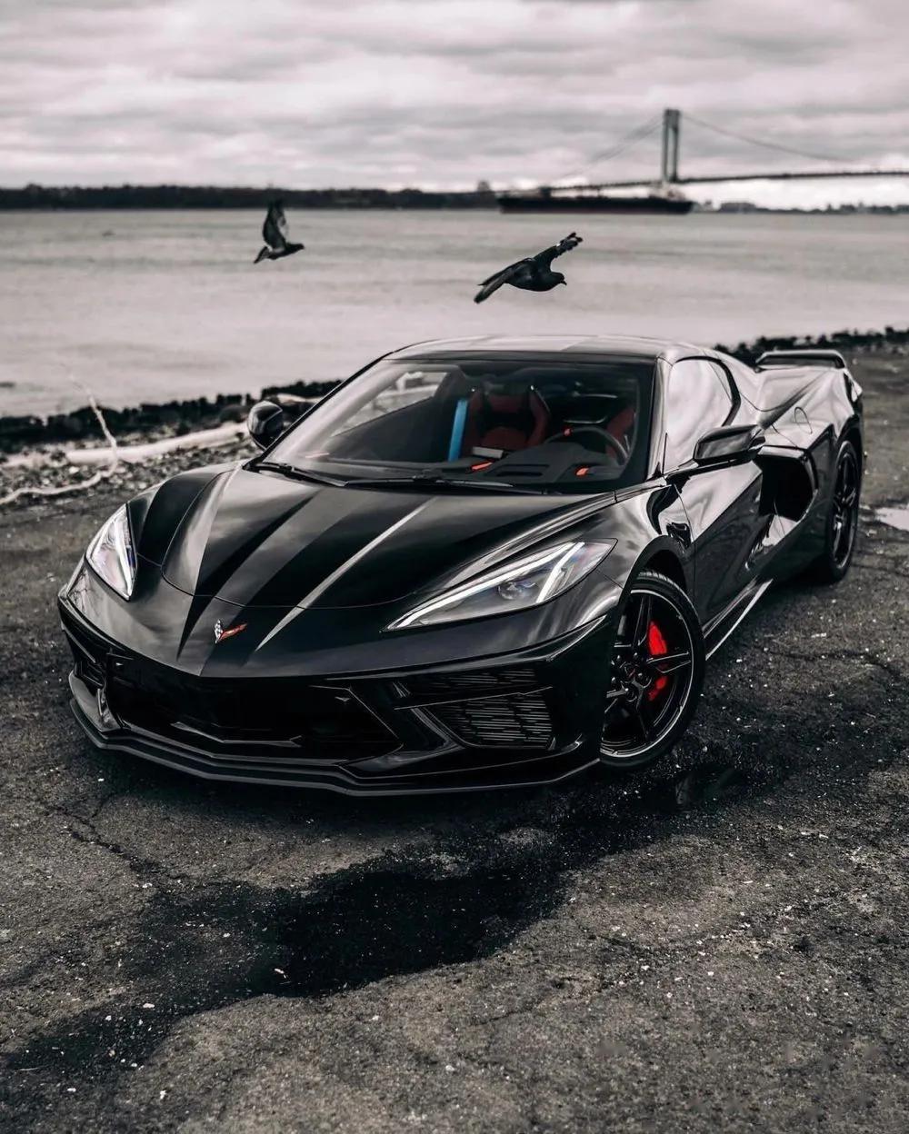 科尔维特c8,美式"性能怪兽"科尔维特c8,是美国性能跑车的代表之一