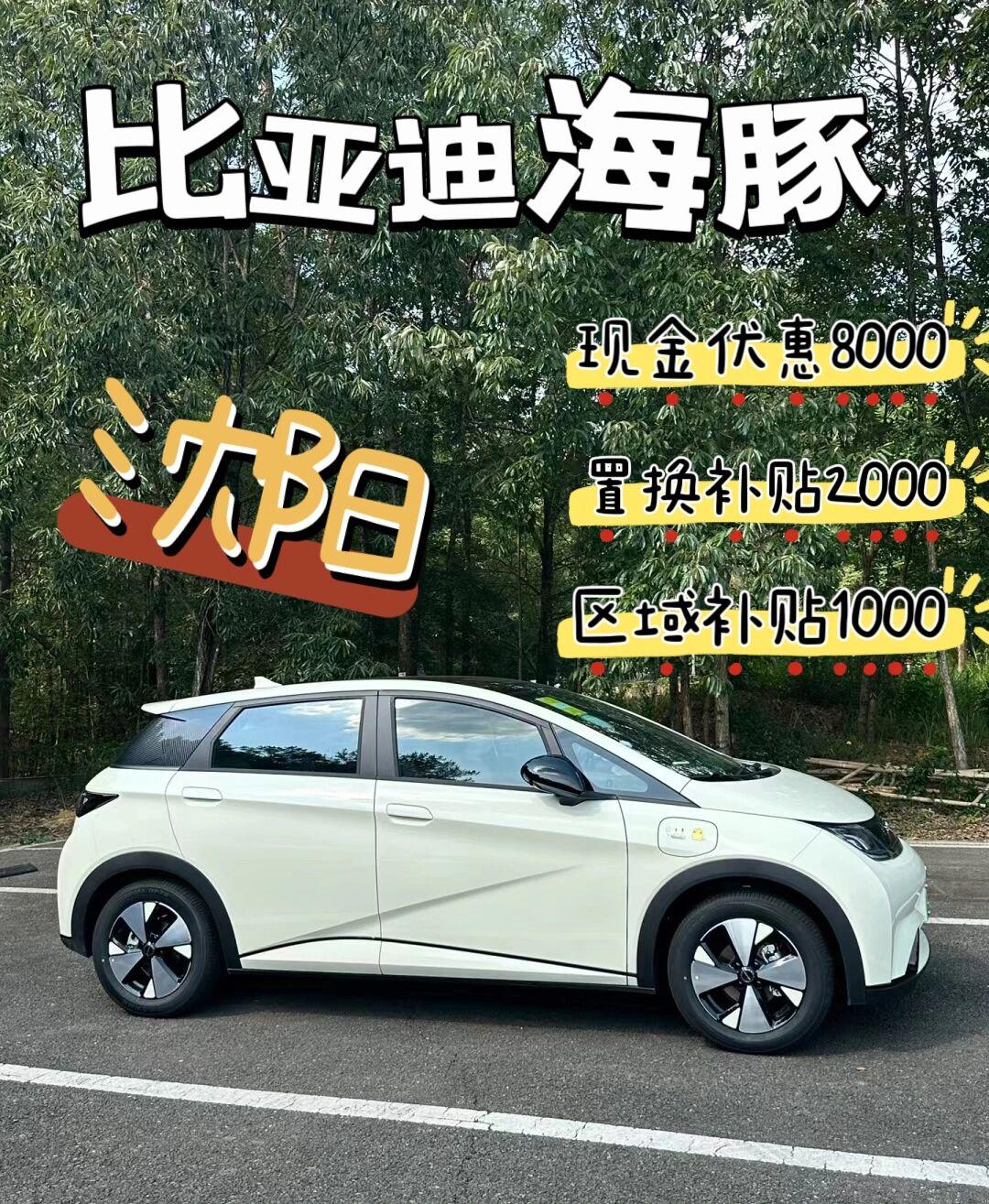 沈阳买比亚迪来福利啦!