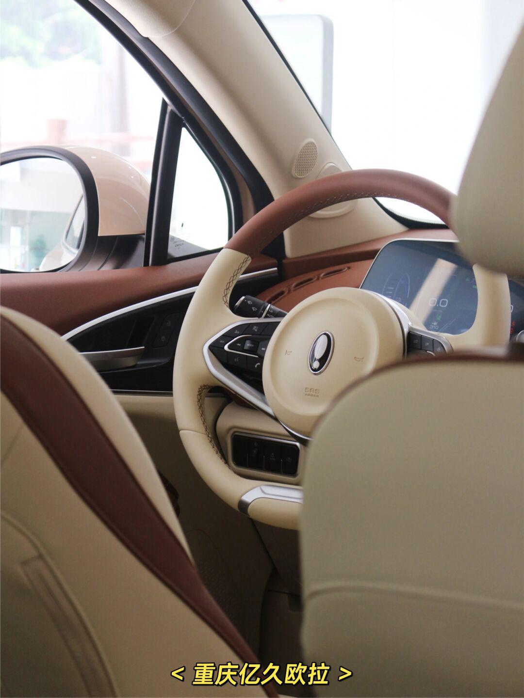 内饰|欧拉好猫-米棕