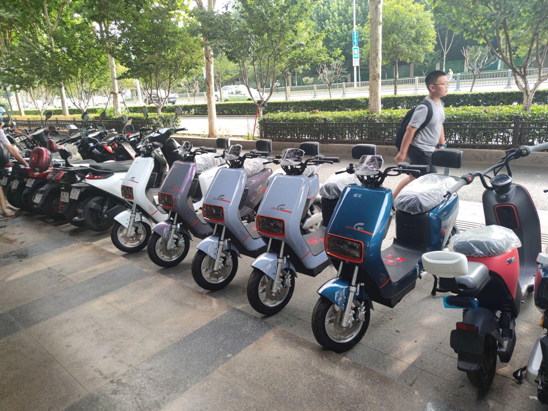 全新绿久新国标电动车活动特价 全新绿久新国标电动车,含电瓶,包上新