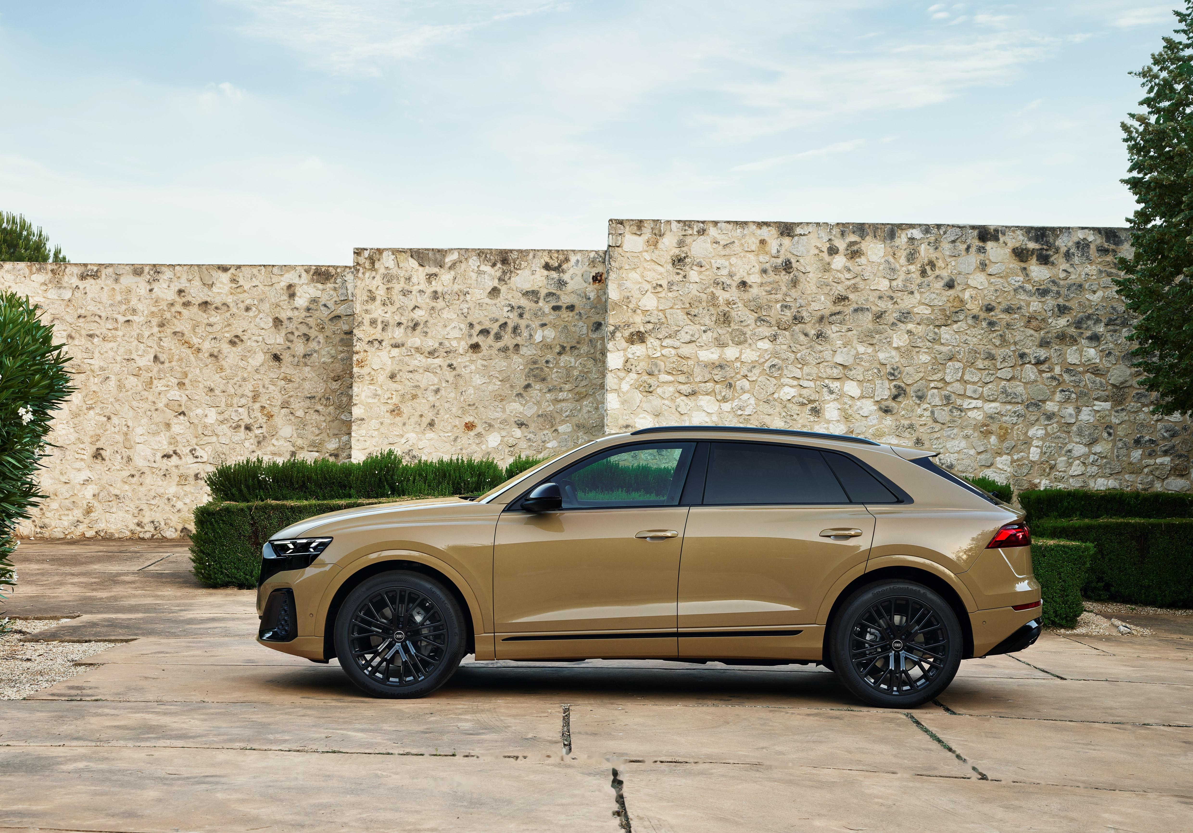 2024 audi q8 55 tfsi quattro s line 改回真排