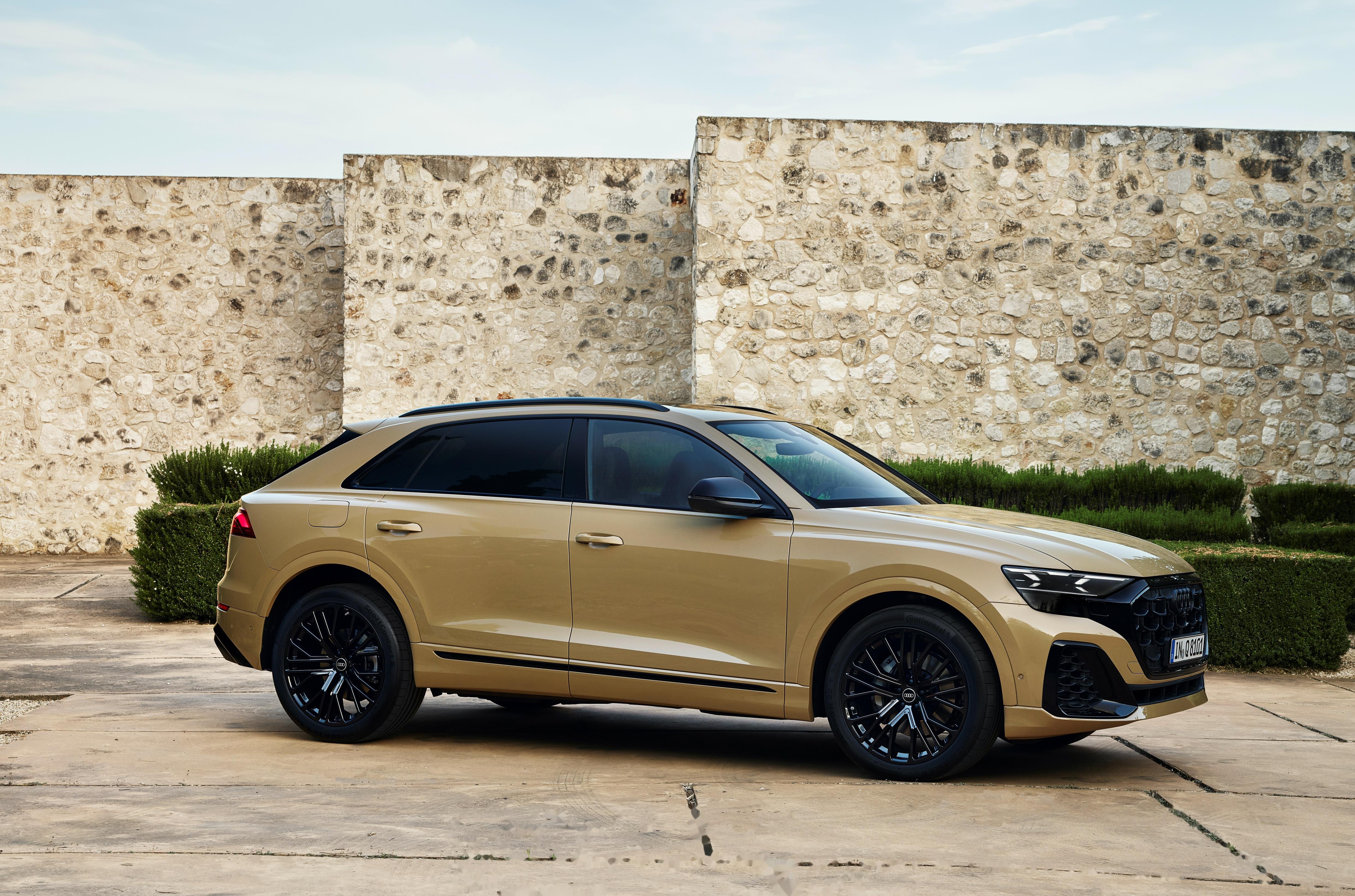 2024 audi q8 55 tfsi quattro s line 改回真排