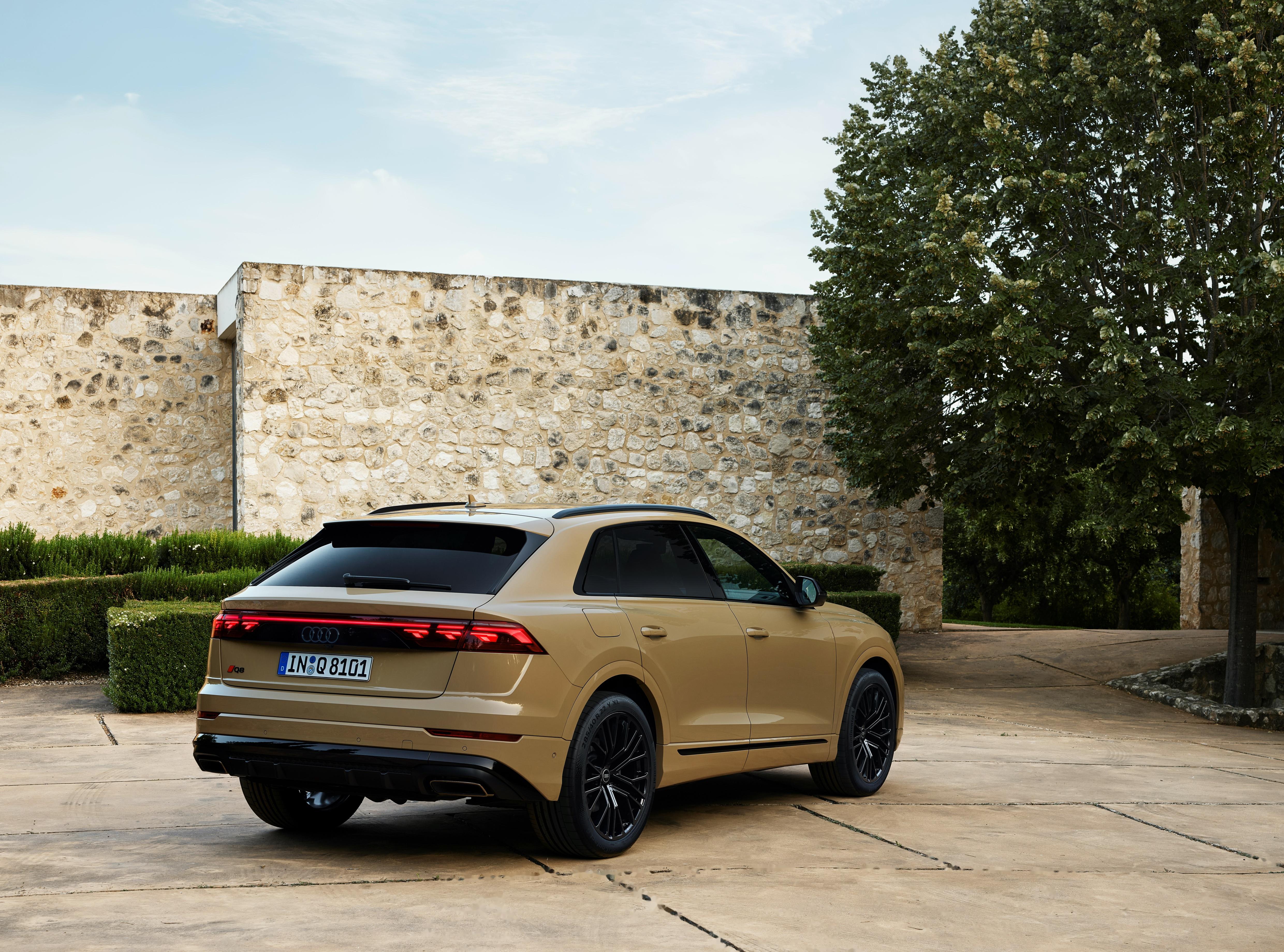 2024 audi q8 55 tfsi quattro s line 改回真排