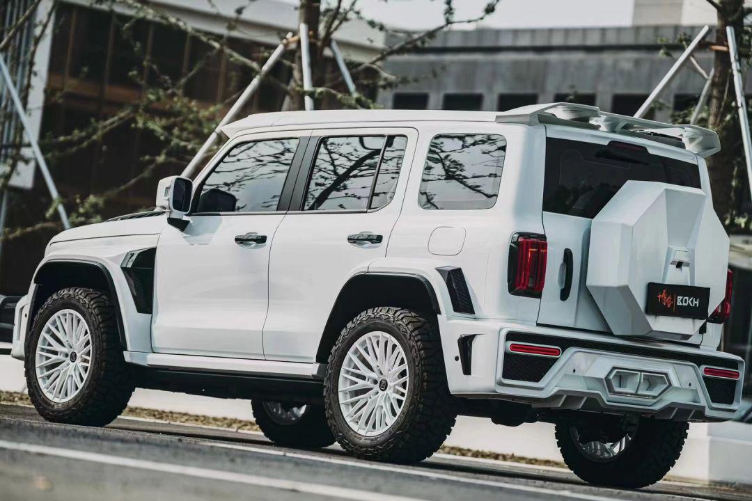 坦克300"火星套件"白武士完工一台