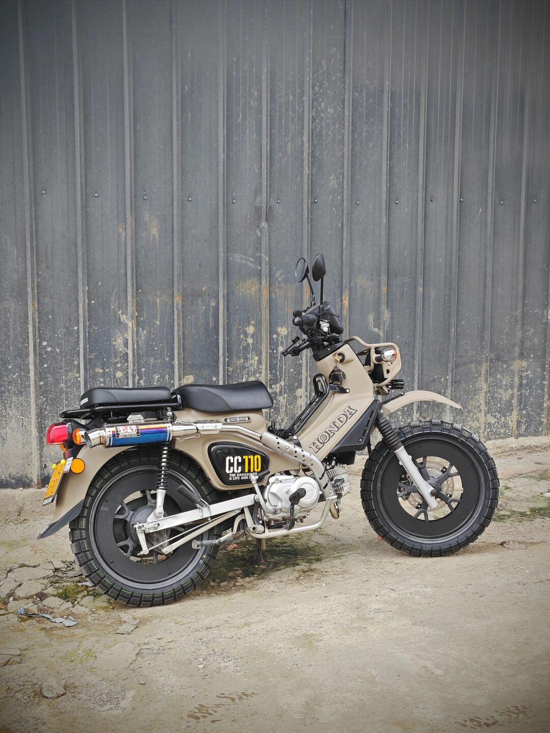 本田幼兽cc110定妆