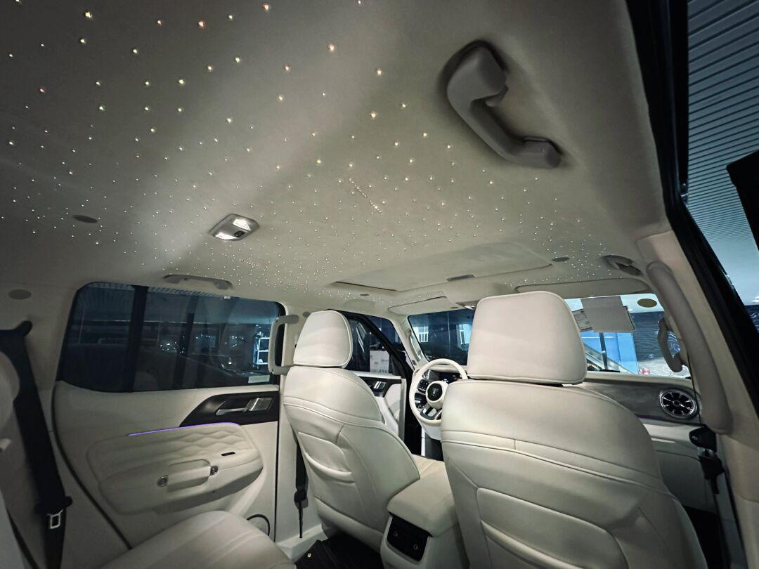 alcantara77nappa白内星空顶07