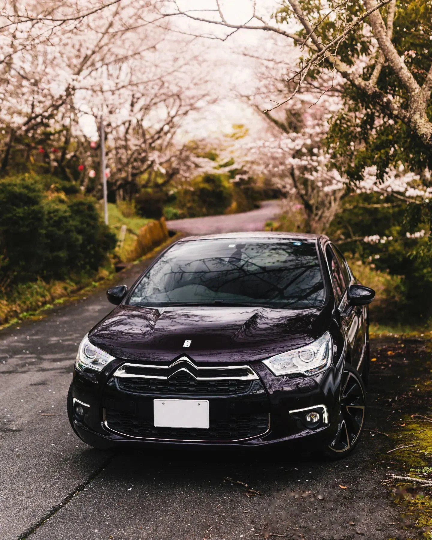 低调代步天花板 被很多人 遗忘的宝藏车型 雪铁龙ds4