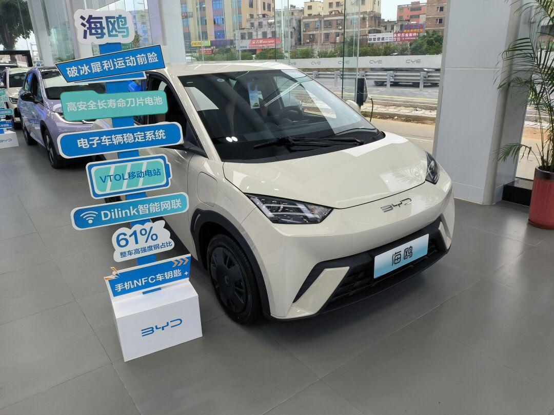 比亚迪小钢炮,超好看,超好开的小型车.代步,接娃首选.