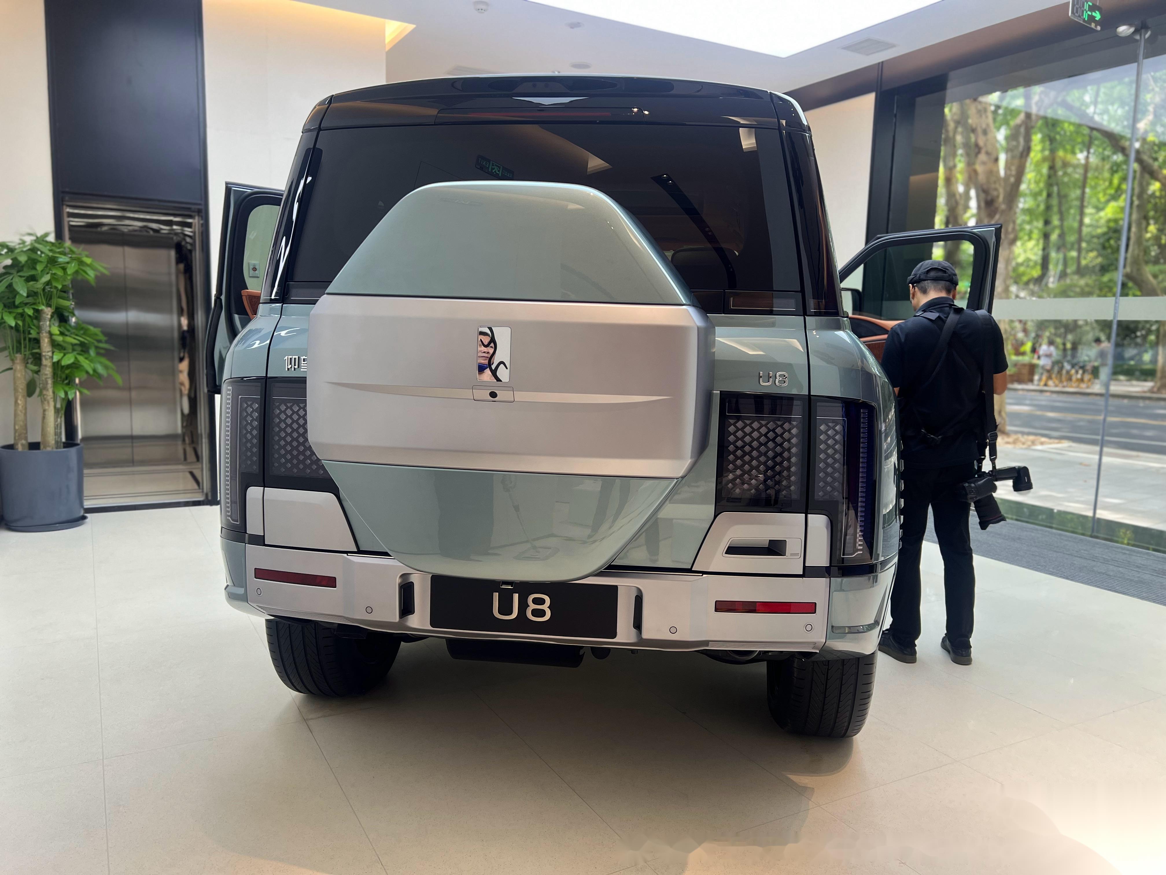 目前国产车的话,标志就是新能源汽车.