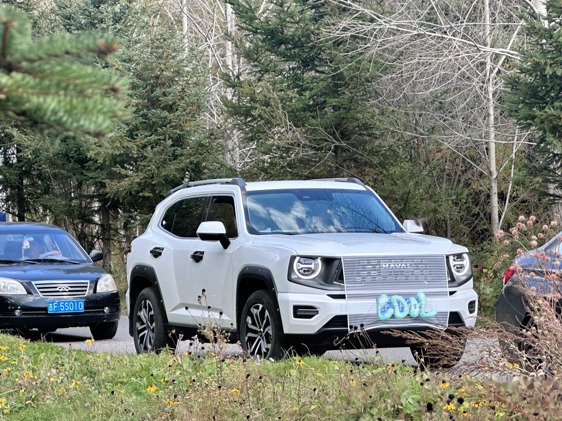 哈弗二代大狗改色 出去游玩路上看到的白色二狗子. 在路上就很亮眼!