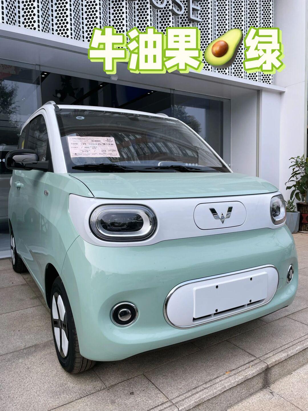 97215高续航77快充 全款904980060送保险99_五菱宏光mini