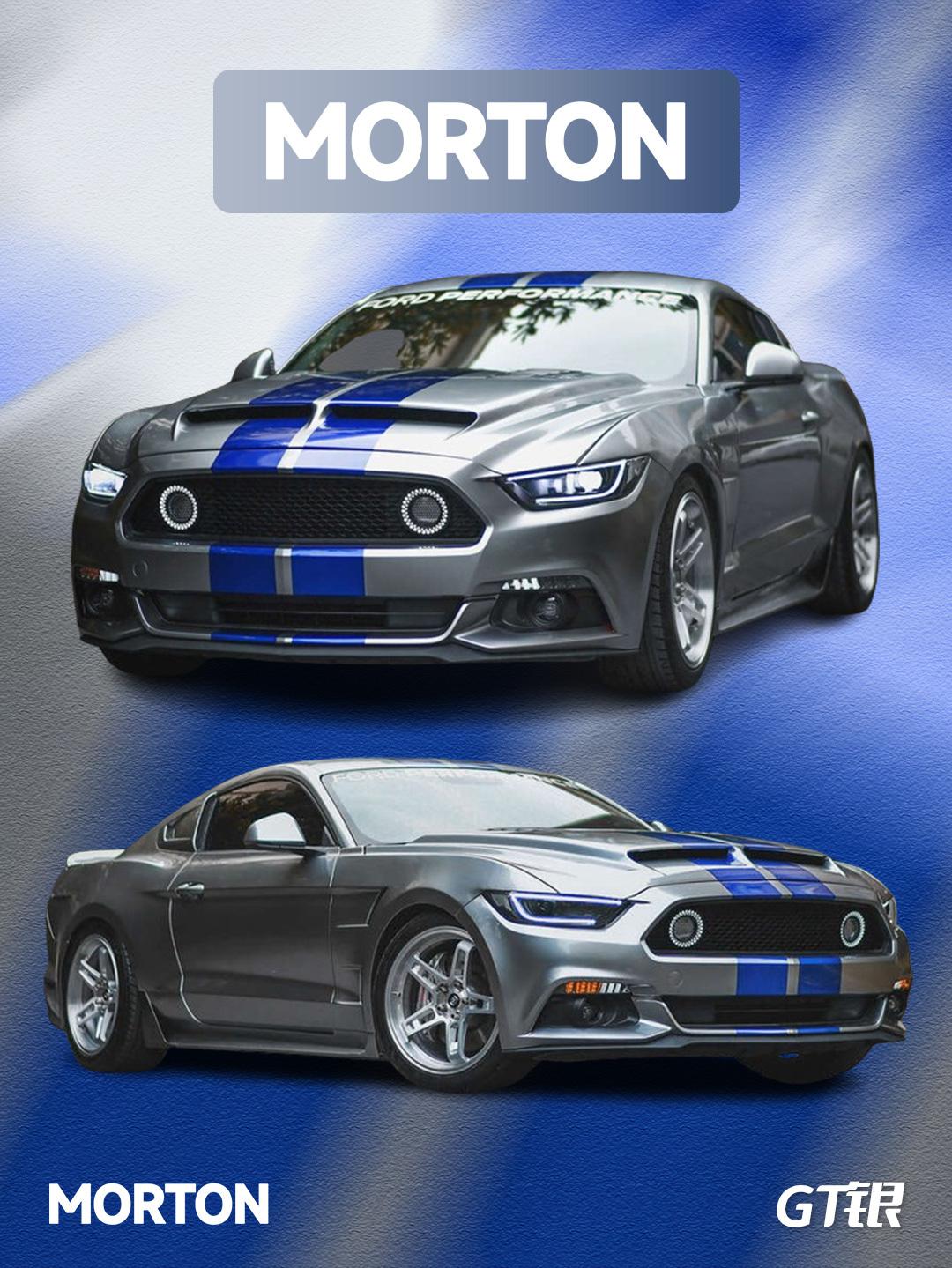 福特野马改色gt银定制拉花