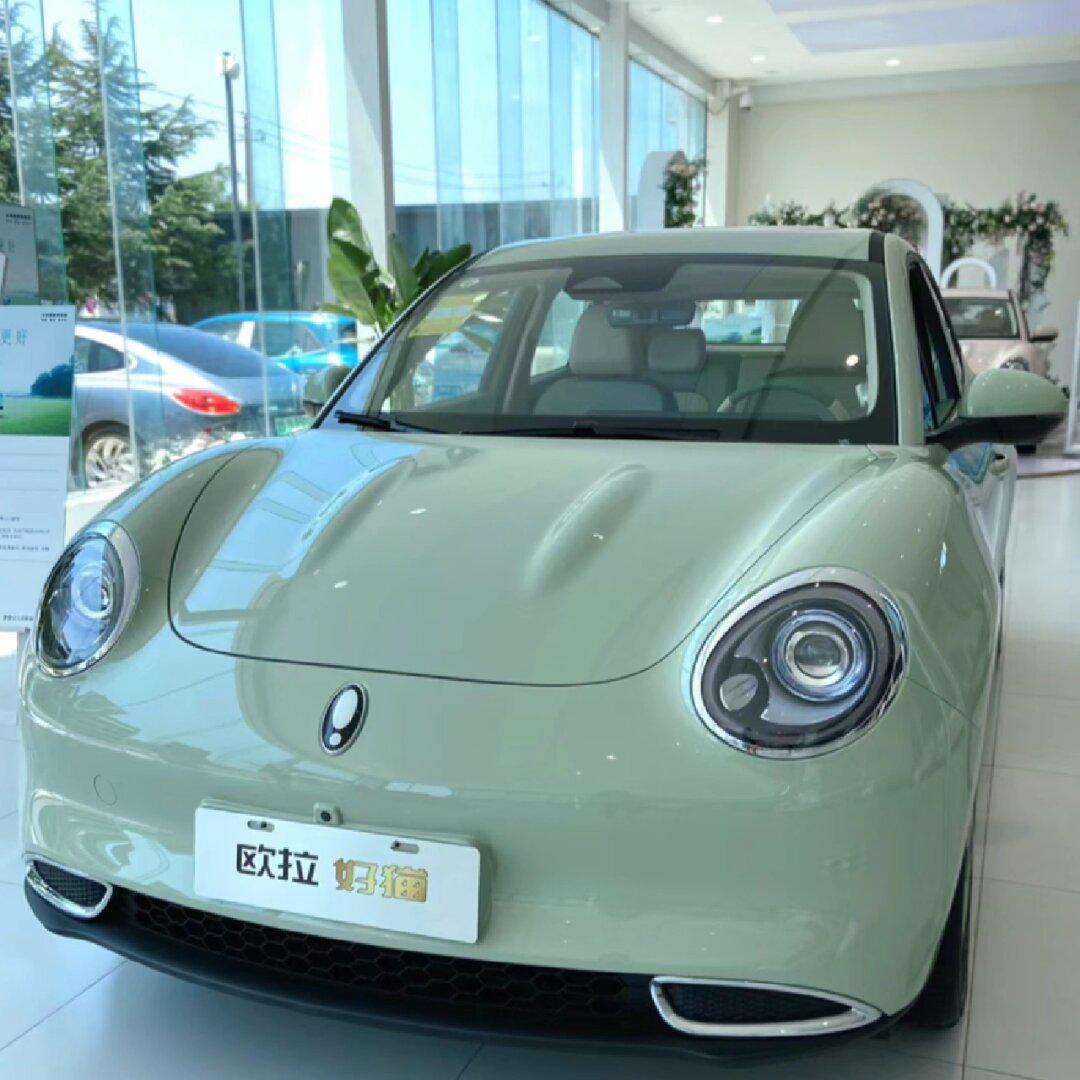 一眼种草好猫奶油绿,被说像青蛙90,越看越像