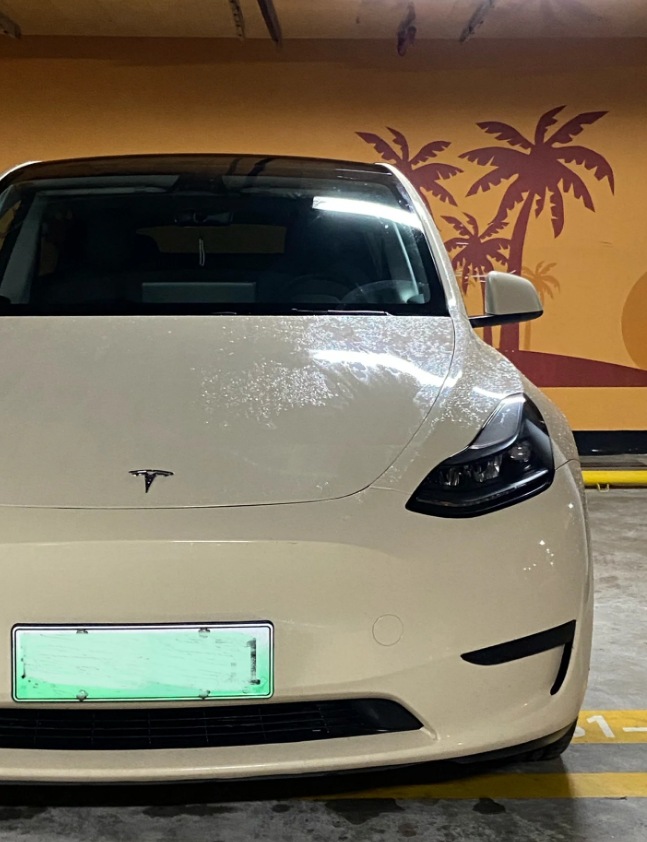 你在三亚旅行,想要一辆代步车?那么特斯拉mo