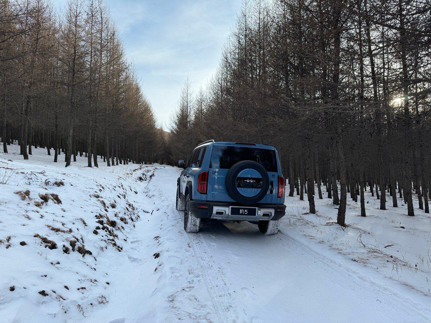 毛子暴风雪越野车图片