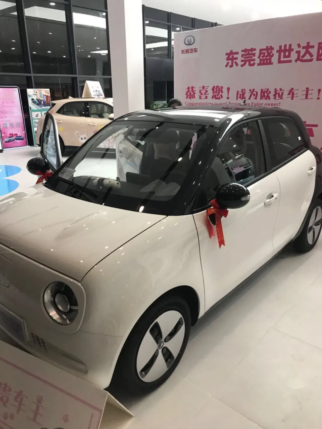 我和老婆都被欧拉好猫的外观吸引住了,欧拉好猫的外观极具辨识度,略显