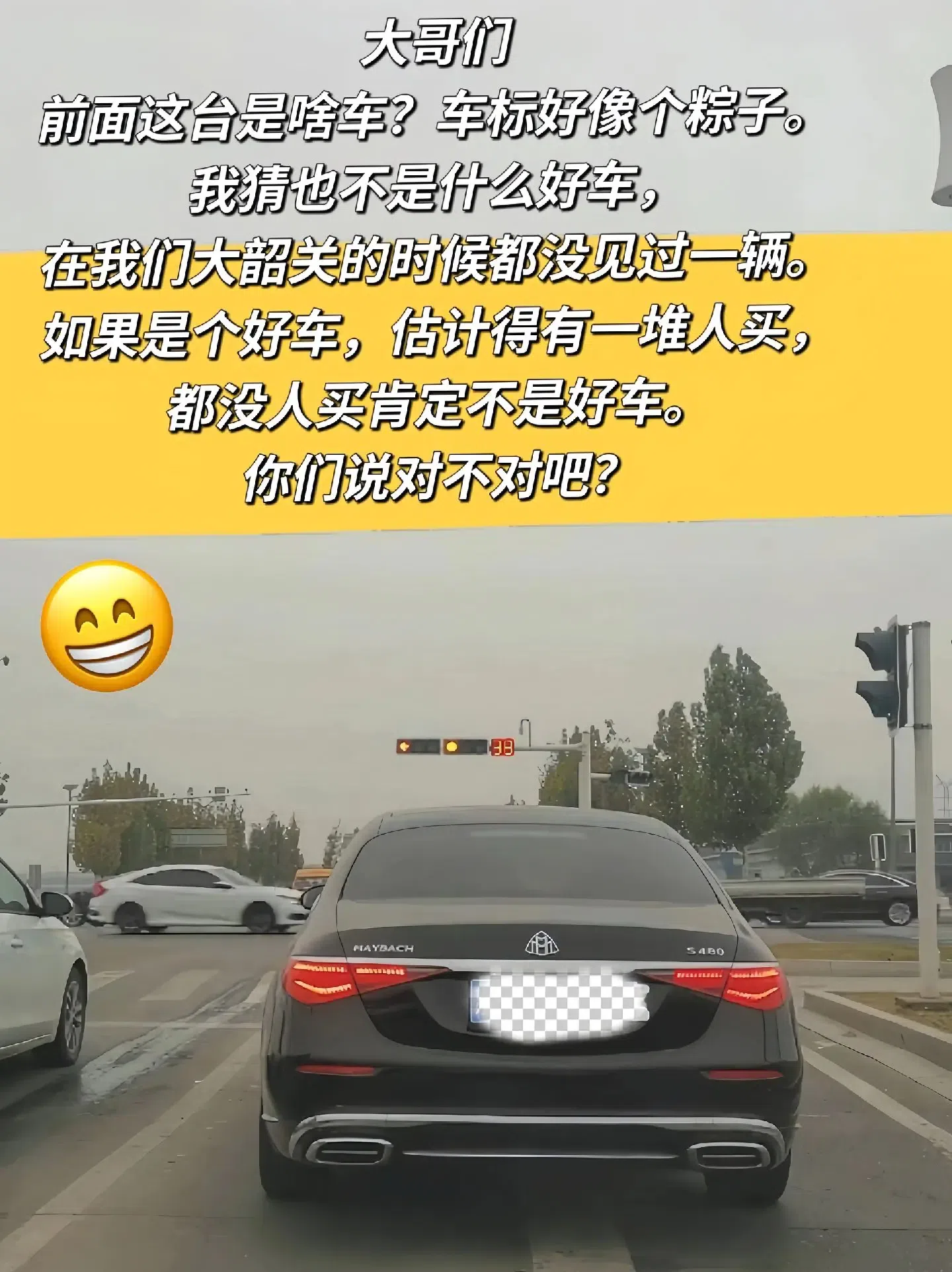 像粽子的标志是什么车图片