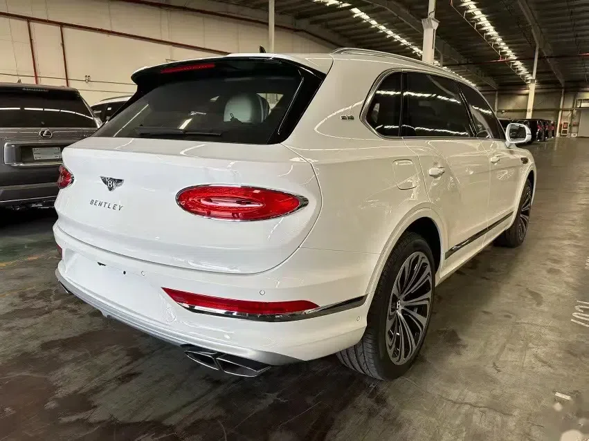 23款添越雅度加长 首发限量版 冰川白/亚麻白拼黑鲸 配置:黑钢琴木,3