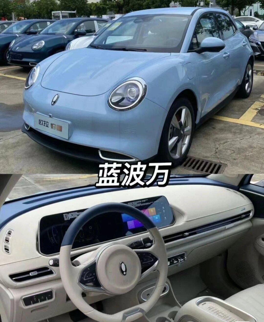 欧拉好猫限时钜惠22000,提车再补3000